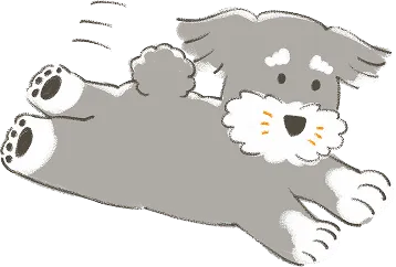 犬