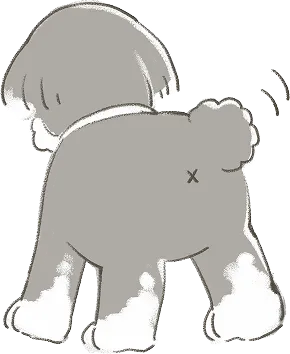 犬